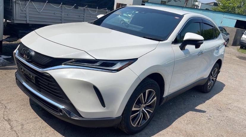 Фото отзыва Антон Филин